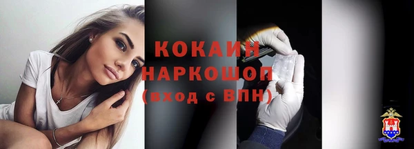 тгк Абаза