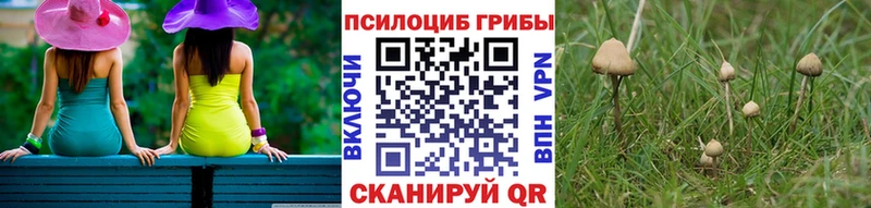 Псилоцибиновые грибы Magic Shrooms  Анапа 